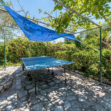 Appartement Alexandros And